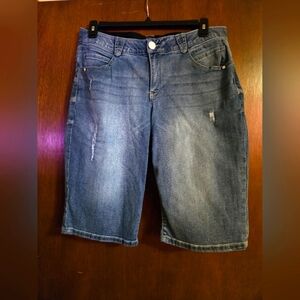 Democracy Blue Bermuda Shorts Relaxed 16W